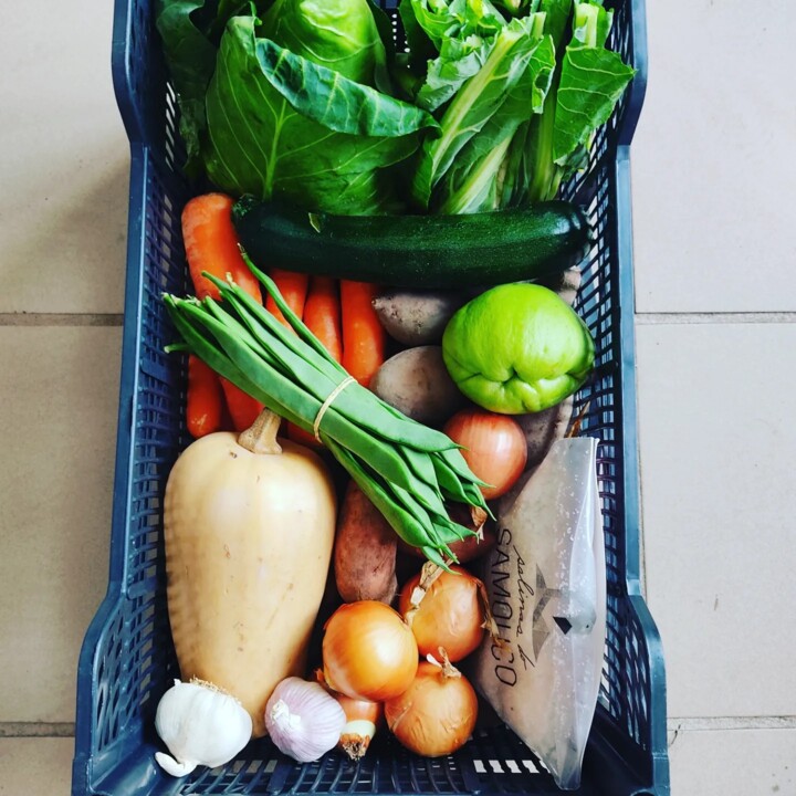 434150735_800583078765771_1857318374554844397_n.jp