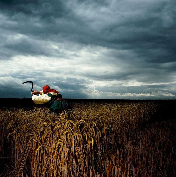 brian griffin.jpg