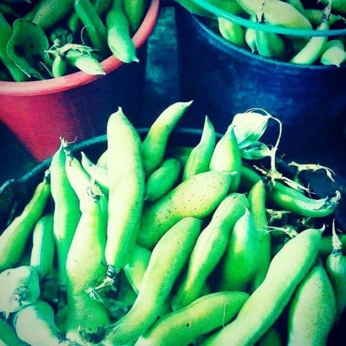 53439542_1324803810992710_1831162725443567616_n.jp 53439542_1324803810992710_1831162725443567616_n.jp