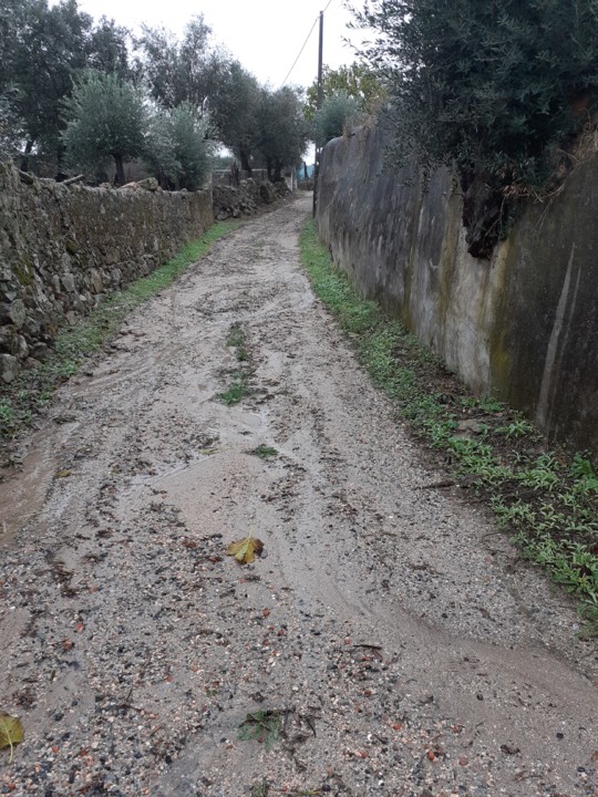 Erosão na Azinhaga II. 2021.10.31.jpg