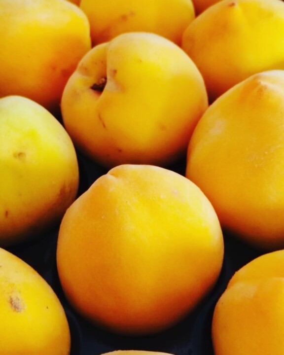 352495654_636636701827077_6194387030147595291_n.jp