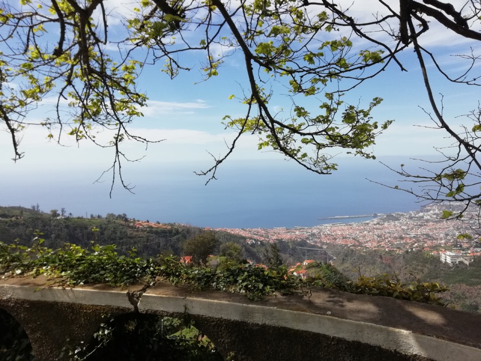 IMG_20200510_114246.jpg IMG_20200510_114246.jpg