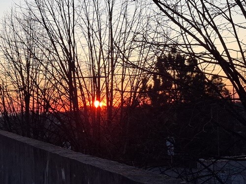 24a_Caminhada_à_Tarde (12).jpg