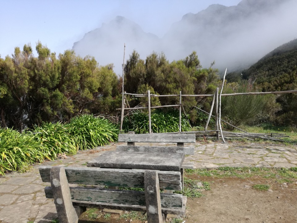 IMG_20200225_145916.jpg IMG_20200225_145916.jpg