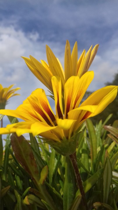 20190519_154140.jpg 20190519_154140.jpg