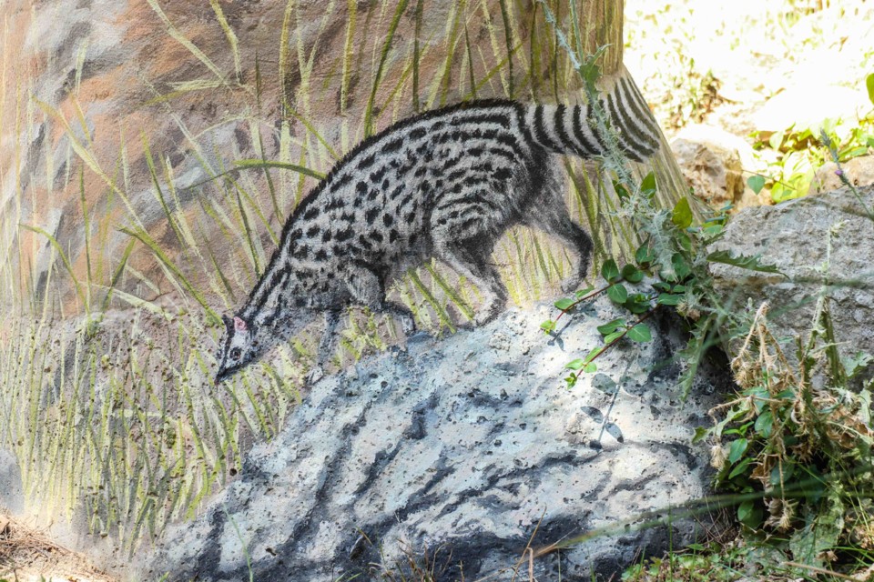 trilho das vinhas-20.jpg