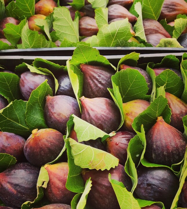 289644348_2343150215824726_7407265481006822391_n.j