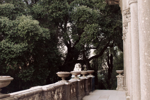 IMG_5633.jpg IMG_5633.jpg