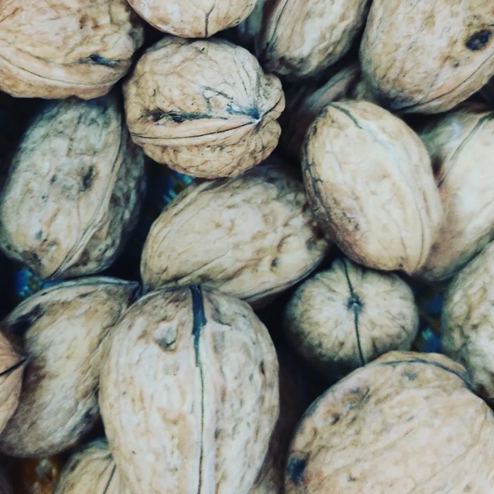 273712660_2236211543185261_1799738763368943918_n.j