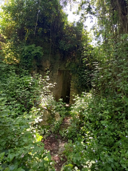 20210418_152516.jpg 20210418_152516.jpg