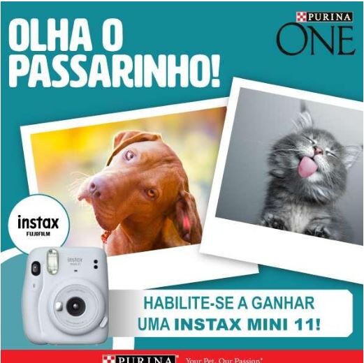 Purina.JPG