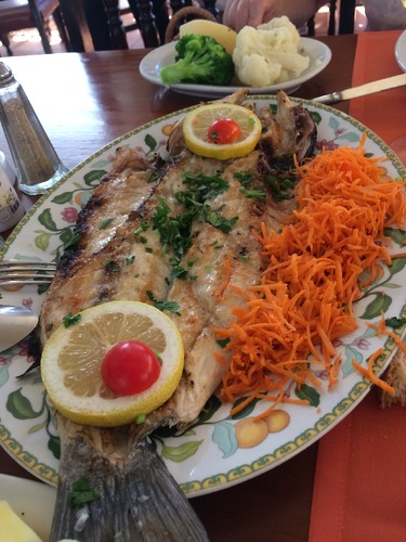 Robalo.JPG Robalo.JPG