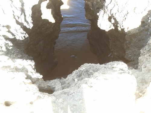 2016-06-17 09.43.42.jpg