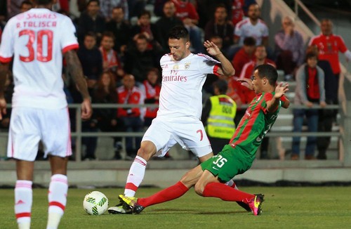 13131580_10156871105270716_7618438102874283444_o.j