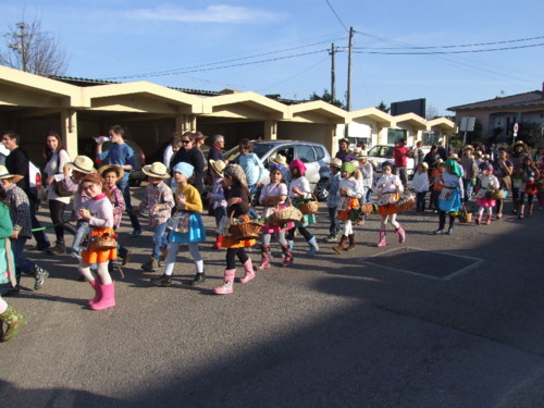 Valongo Desfile Carnaval (125).jpg