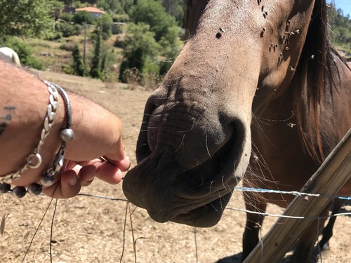 IMG_1021.JPG IMG_1021.JPG