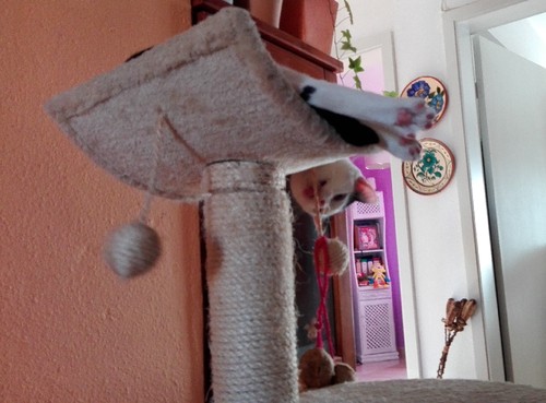 IMG_20170529_191959 (2).jpg IMG_20170529_191959 (2).jpg