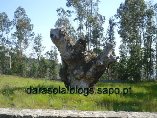 caminho_romano_arouca_04.JPG caminho_romano_arouca_04.JPG