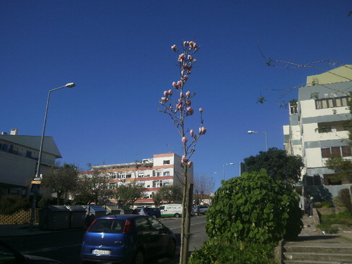 P2103802.JPG P2103802.JPG