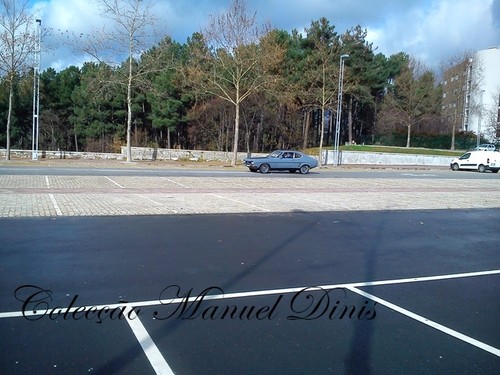 alem corgo Fevereiro 2016  (74).jpg