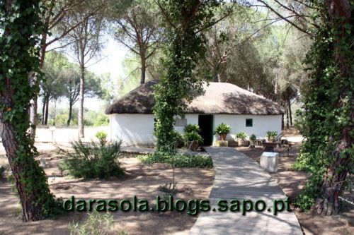 Donana_B_04.JPG Donana_B_04.JPG