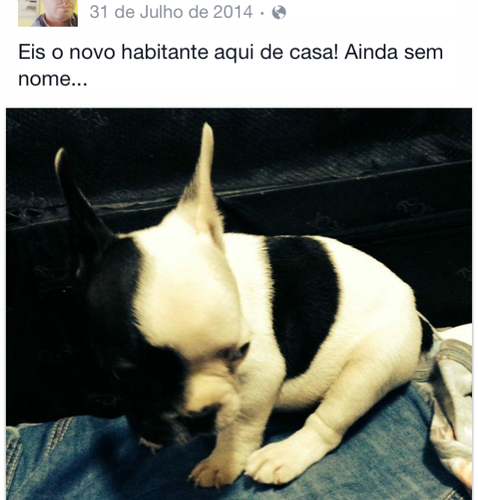 IMG_4472.PNG IMG_4472.PNG