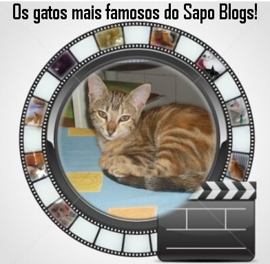 8ed0aaefa2e55b374f20a77edfb93697.jpg 8ed0aaefa2e55b374f20a77edfb93697.jpg