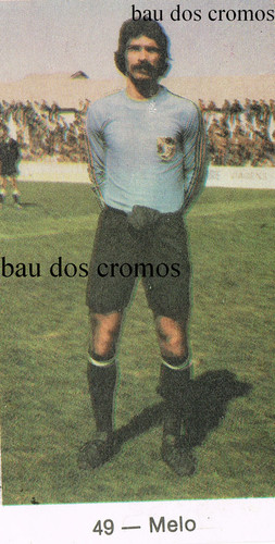 melo.jpg
