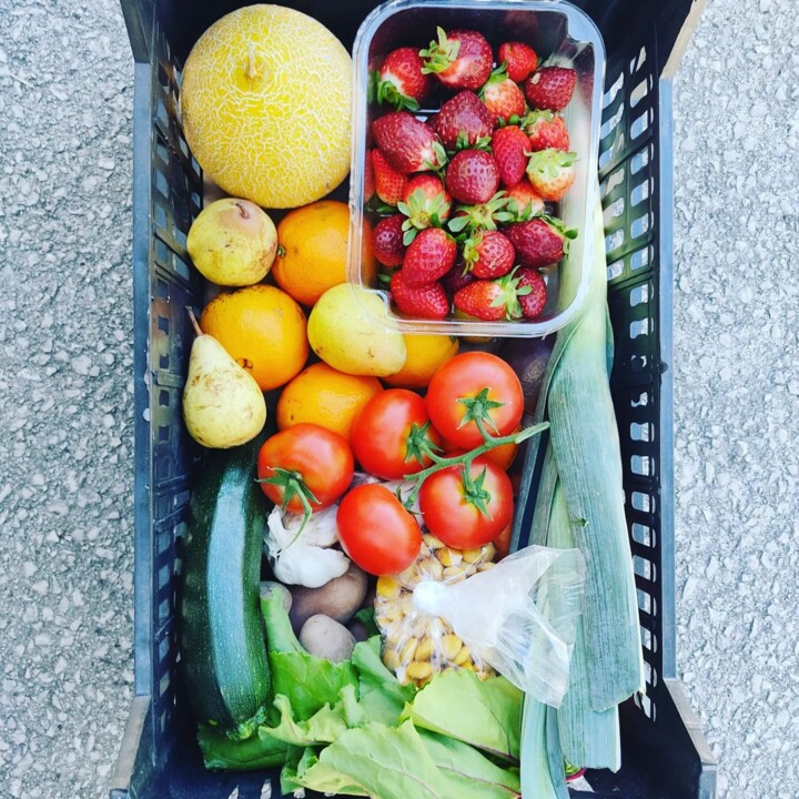 341338165_1445560516181727_3552414365801135840_n.j