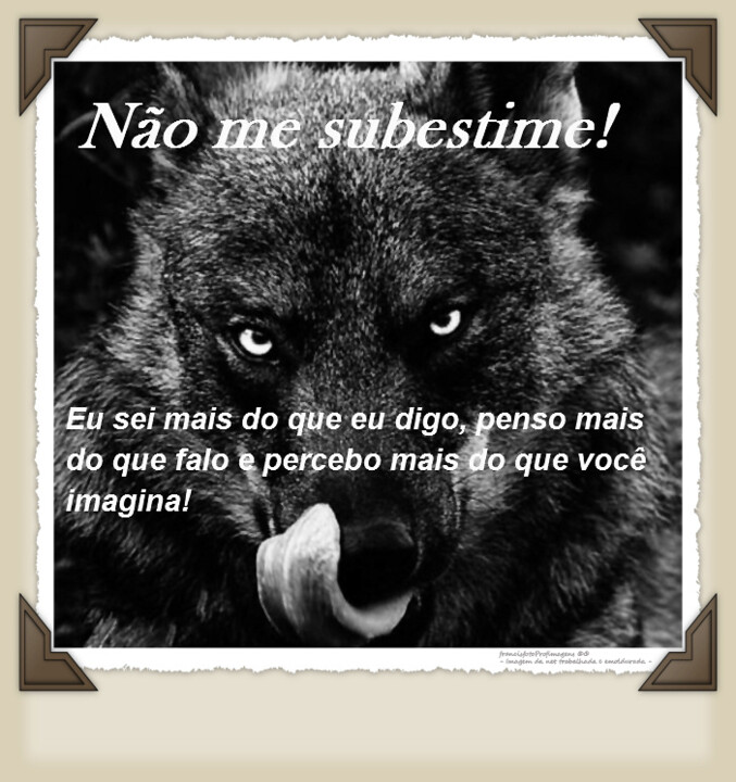 Lobo solitário IV.jpg