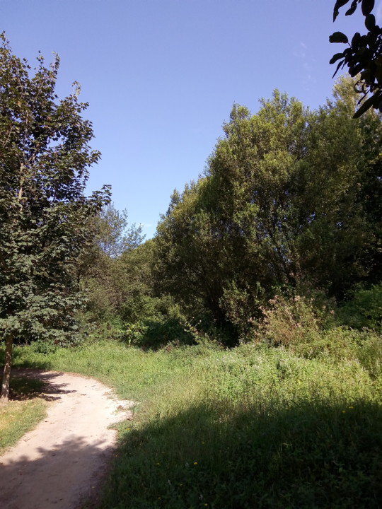 P_20190915_112912_SRES.jpg P_20190915_112912_SRES.jpg