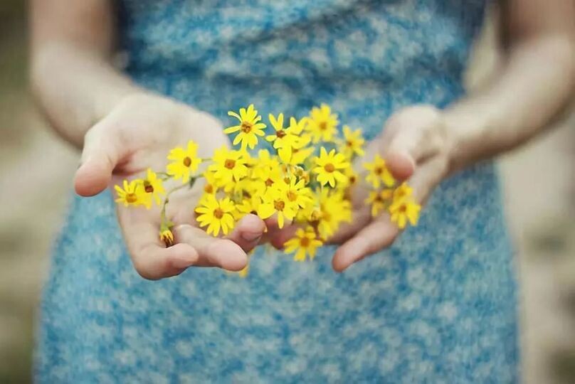 242498469_4325162907561954_3720693263137518498_n.j