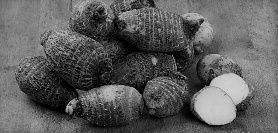 inhames.JPG inhames.JPG