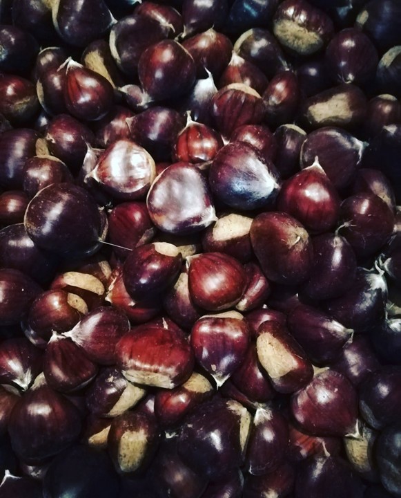 74223426_1497797183693371_7428131198104240128_n.jp