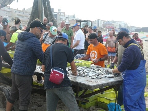 18a_Praia_de_Mira_Manhã (32).JPG