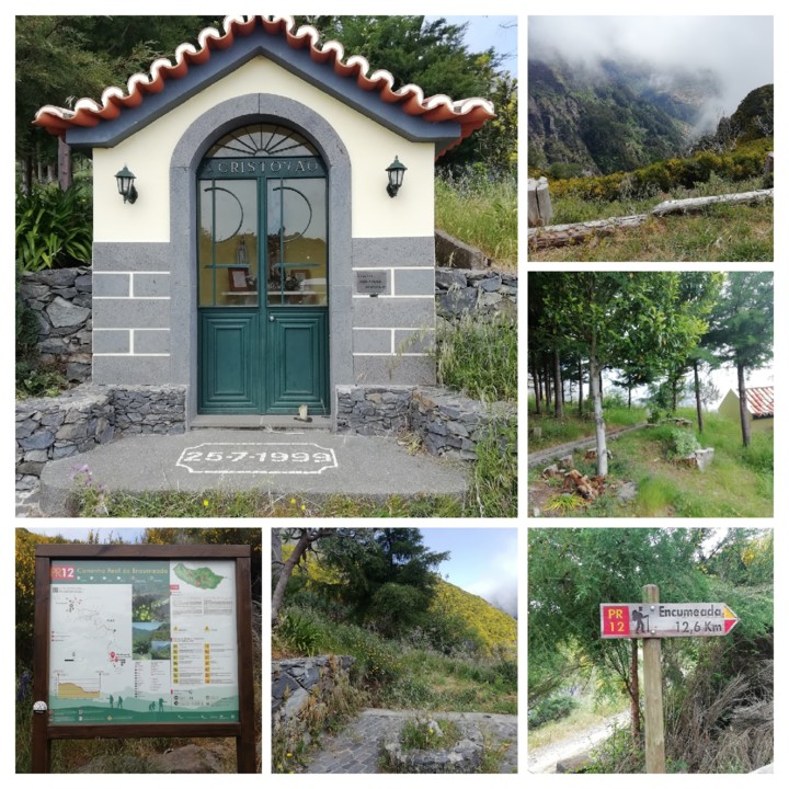 IMG_20210530_114922-COLLAGE.jpg IMG_20210530_114922-COLLAGE.jpg