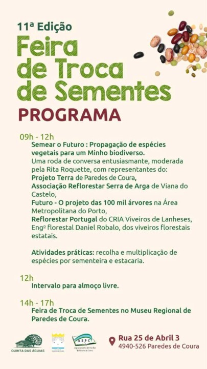 571212673_1423779016414448_1432379360428177266_n (