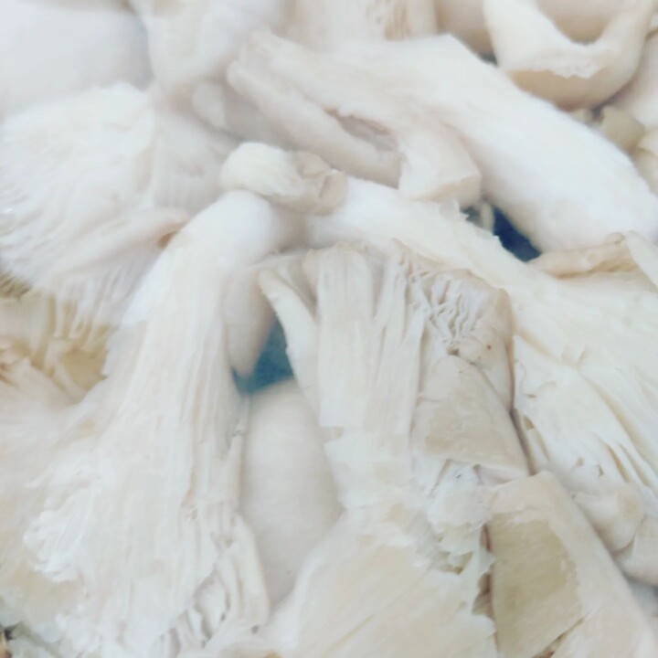 328718305_553994316787954_1191030027995127085_n.jp