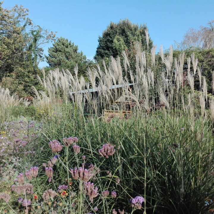 Ponte de Lima -2018.jpg