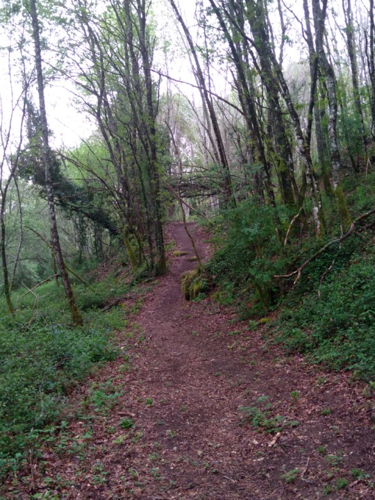 IMG_20210402_115916.jpg IMG_20210402_115916.jpg