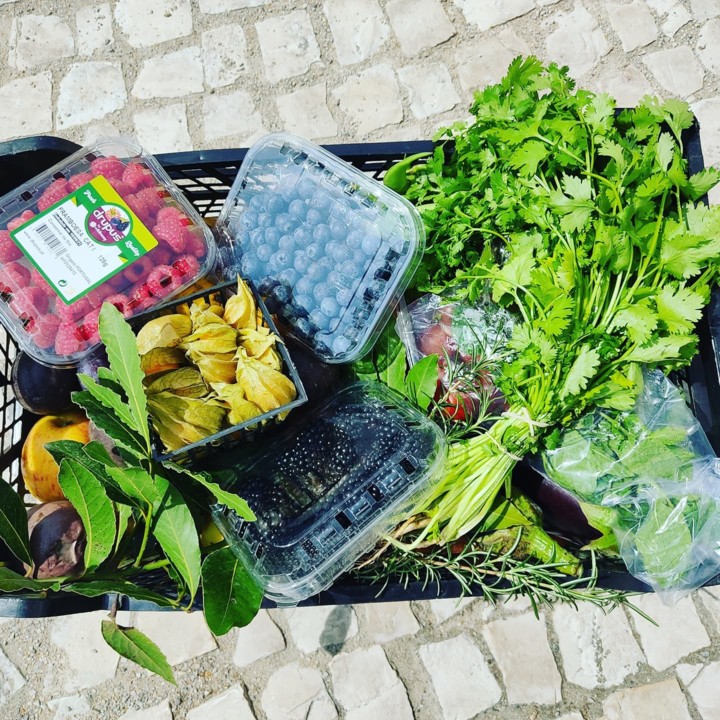 241370621_2121702024636214_8468473641448840920_n.j