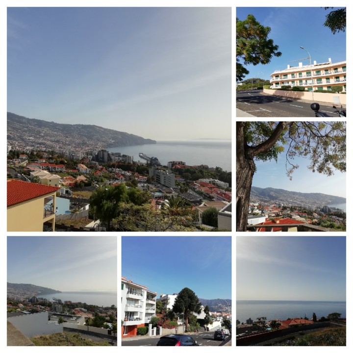 IMG_20201101_101846-COLLAGE.jpg IMG_20201101_101846-COLLAGE.jpg