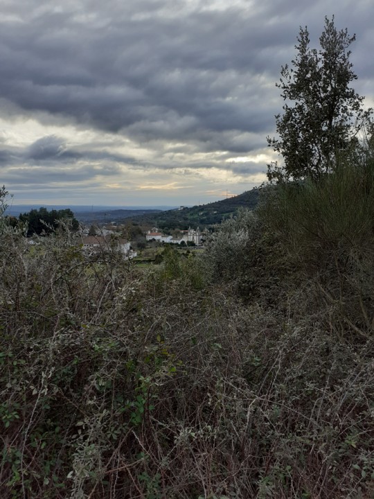 Bonfim e Penha. Foto original. 2021. 01. .jpg