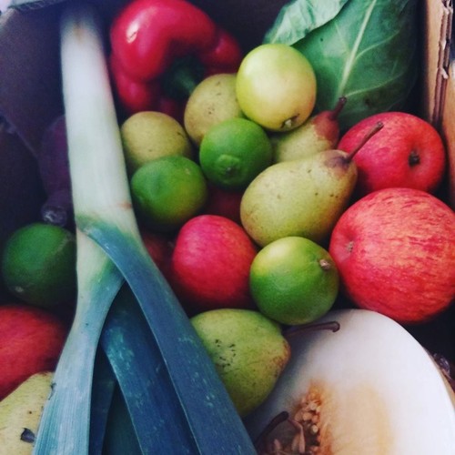 14563459_771768566296240_2991927603337817392_n.jpg 14563459_771768566296240_2991927603337817392_n.jpg