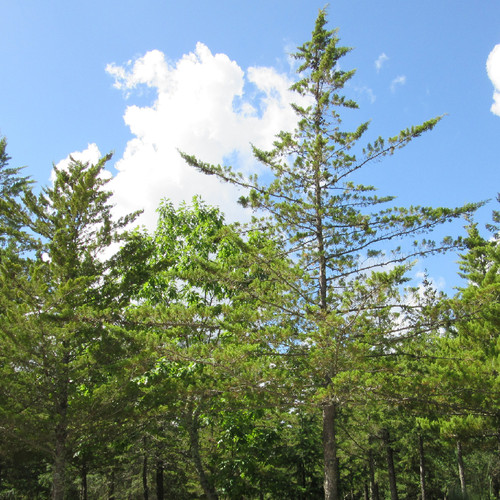 IMG_3861.jpg IMG_3861.jpg