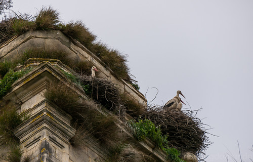 DSC01080.jpg DSC01080.jpg