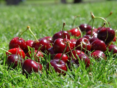 13254463_1148257321886233_4949394279479433170_n.jp