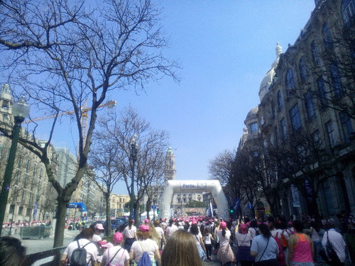 IMG_20160515_113858.jpg IMG_20160515_113858.jpg