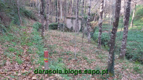 Burgo_17.jpg Burgo_17.jpg