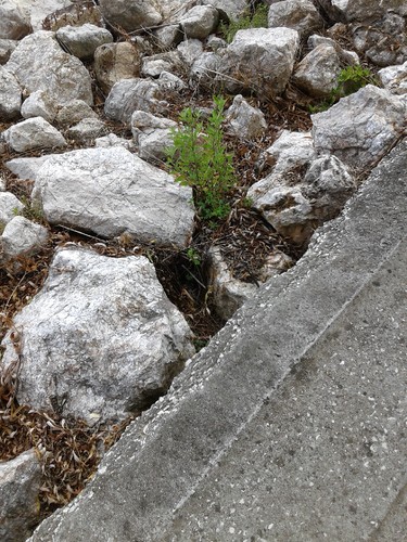 20150816_141813.jpg